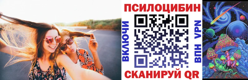 Галлюциногенные грибы Psilocybine cubensis  Южно-Сухокумск 
